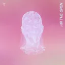 Cover of IN THE OPEN