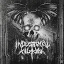 Cover of Industrial Killing