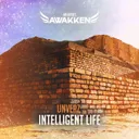 Cover of Intelligent Life