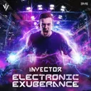 Electronic Exuberance by Invector, Disarray - Rawstyle cover art