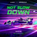 Not Slow Down by Invector - Rawstyle cover art