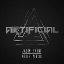 Never Perish - Original Mix by Jason Payne - Rawstyle cover art