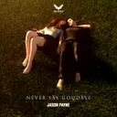 Never Say Goodbye by Jason Payne - Rawstyle cover art