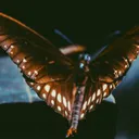 MOTH INTO FLAME by Jiggo2027 - Hard Techno cover art