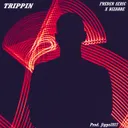 Trippin by Jiggo2027, Freder Seric, Bizarre - Hard Techno cover art