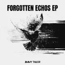 Broken Feathers by Jimmy Tailor - Hardstyle cover art