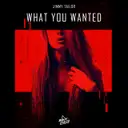 What You Wanted by Jimmy Tailor - Hardstyle cover art