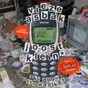 Friesenjung (Klingelton) by Joost, Ski Aggu, Vieze Asbak, Tantu Beats - Hard Techno cover art
