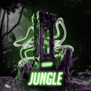 Cover of Jungle