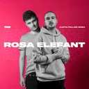 Rosa Elefant - Justin Pollnik Remix by Justin Pollnik, TONI - Hardstyle cover art