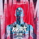 WLDM - Radio Edit by Kaiser T - Hardstyle cover art