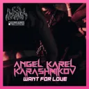 Want For Love by Karashnikov, Angel Karel - Hard Techno cover art