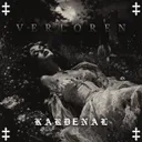 Verloren by Kardenal - Hard Techno cover art