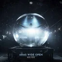 Arms Wide Open by KELTEK - Rawstyle cover art