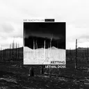 Aftermath by Ketting - Hard Techno cover art