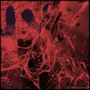 Baltic - Original Mix by Kill Your Idols - Hard Techno cover art