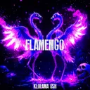 FLAMENGO by KLOFAMA, USH - Hard Techno cover art
