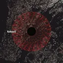 Konvergent by KOBOSIL - Hard Techno cover art