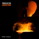 Forged In The Undertone by Kokwak, Vrablic - Hardstyle cover art