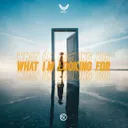 What I'm Looking For - Original Mix by KoNaTix - Hardstyle cover art