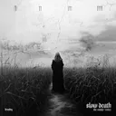 Slow Death - The Smiler Remix by Kruelty, The Smiler - Hardstyle cover art