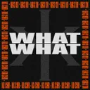 What What by KX CHR - Frenchcore cover art