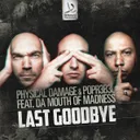 Cover of Last Goodbye - Original Mix