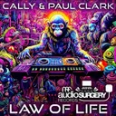 Cover of Law of life