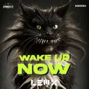 Wake Up Now by Lem-X - Hardcore cover art