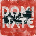 Dominate by Level One, Disarray - Rawstyle cover art