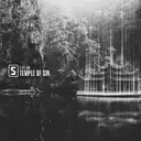 Temple Of Sin by Level One - Rawstyle cover art