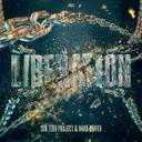 Cover of Liberation