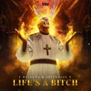 Cover of Life's A Bitch