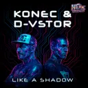 Cover of Like A Shadow
