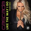 Cover of Like the Way I Do - Vau Boy Remix