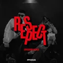Respect - Spriggan Remix by Liquid Silva, JayJax, Steve Chris, SPRIGGAN - Hardstyle cover art