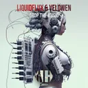 Drop The Music - Radio Mix by LiquidFlux, Velowen - Hardstyle cover art