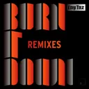 Burn It Down - Stanley Clementina & Zurich Remix by LNY TNZ, Stanley Clementina, Zurich - Hardstyle cover art