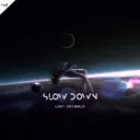 Slow Down - Radio Edit by Lost Decibels - Hardstyle cover art