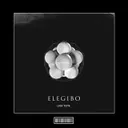 Elegibo by Luca Testa, Emily Fox - Hardstyle cover art