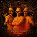 NO LiMiTS by LUCiD, Phat Collective - Hardstyle cover art