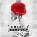 Lose Control - Radio Mix by Luminite - Rawstyle cover art