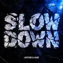 SLOW DOWN by luvvtige, Acidz - Deutscher Krach cover art