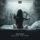 Cover of Madness