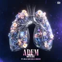 Adem by Mark With a K, Jelle van Dael, Madoc - Hardstyle cover art