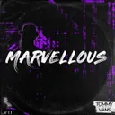 Cover of Marvellous