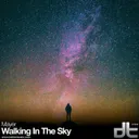 Walking In The Sky - Mayer Mix by Mayer - Rawstyle cover art