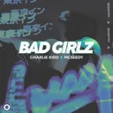 Bad Girlz by Mcseedy, Charlie Kidd - Hard Techno cover art