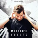 Voices by MELOLIFE - Frenchcore cover art
