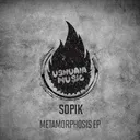 Cover of Metamorphosis - Original Mix